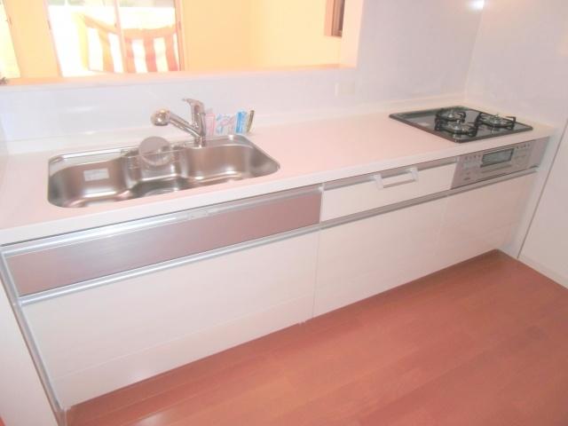 Same specifications photos (Other introspection). Luxury kitchen