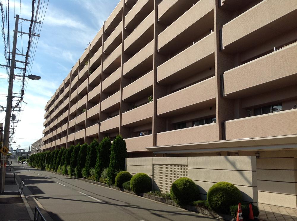 Local appearance photo. Local (September 2013) Shooting