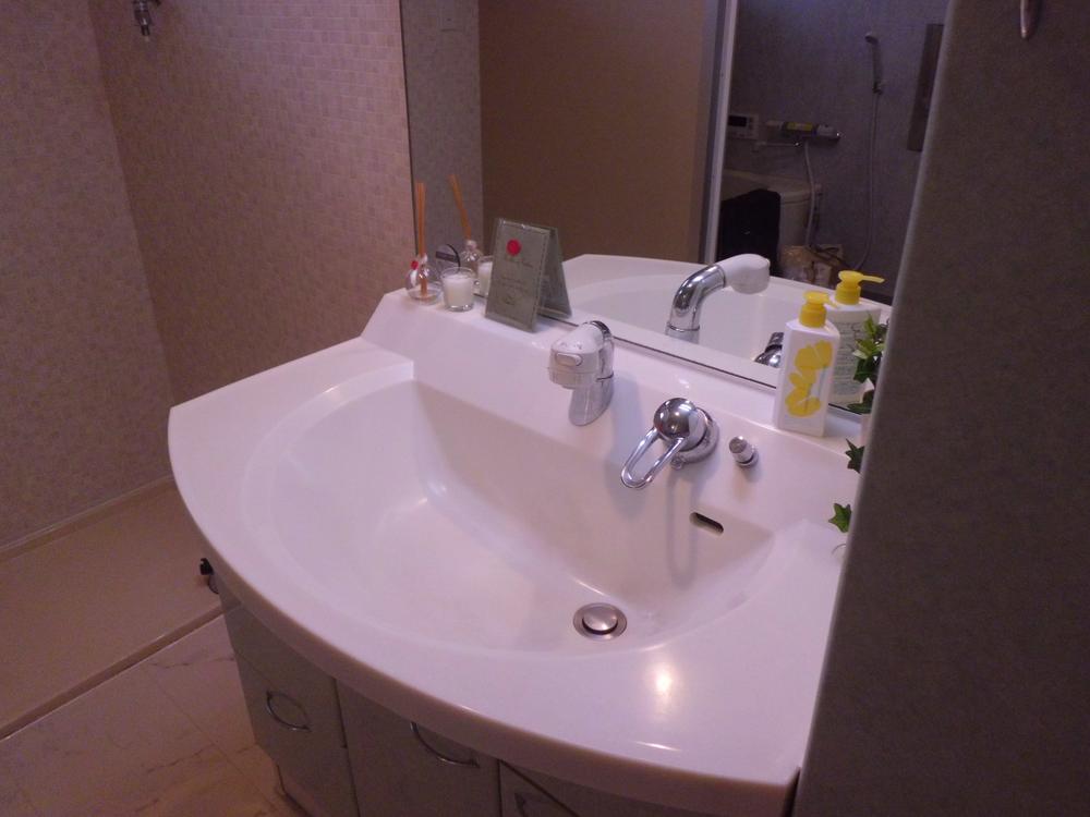 Wash basin, toilet. Washroom with shower