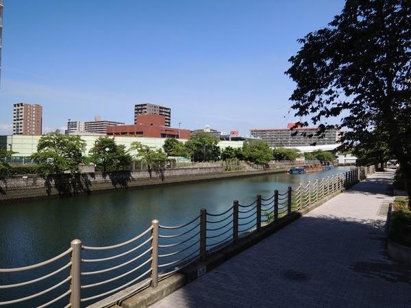 Other. Johoku canal immediately. jogging, For a walk. 