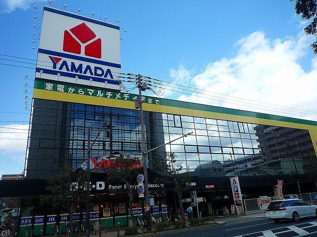 Other. Consumer electronics will set anything in Yamada Denki!