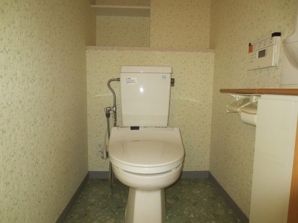 Toilet. Spacious with high functionality