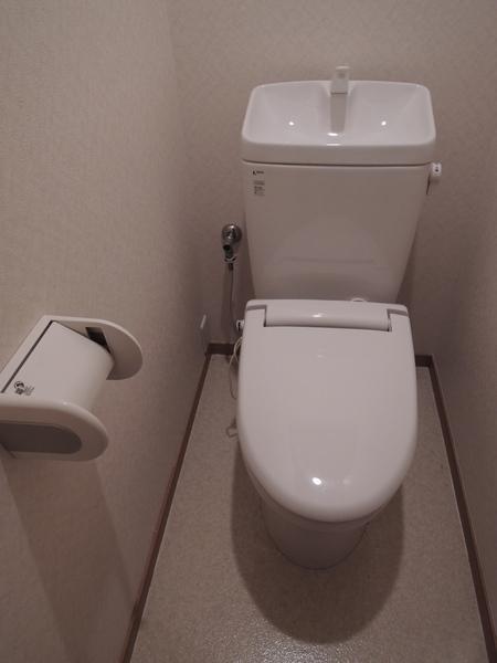 Toilet. First floor toilet. 