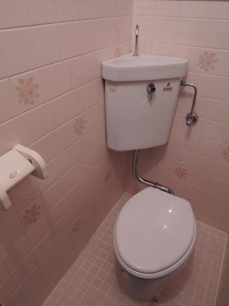 Toilet. Second floor of the toilet. Tile is cute. 