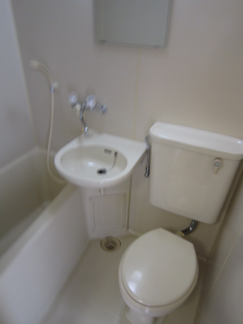 Toilet. Renovation is complete