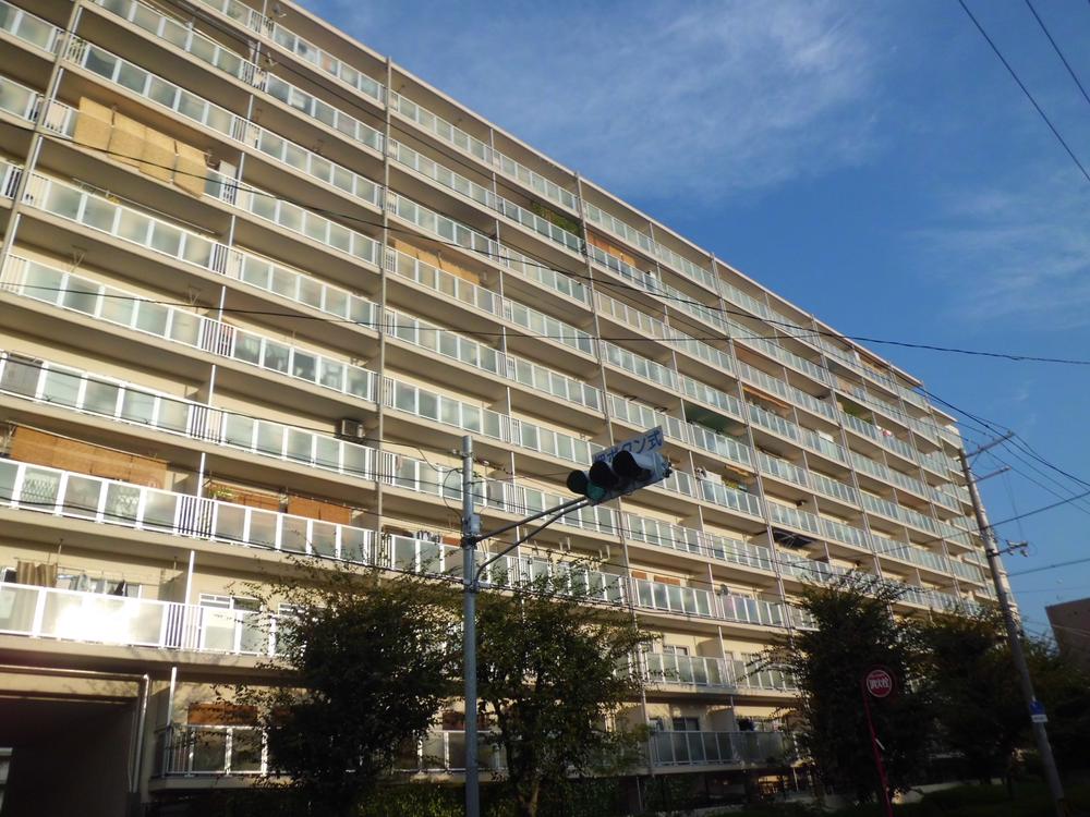 Local appearance photo. Beautiful appearance also shine bright planting!