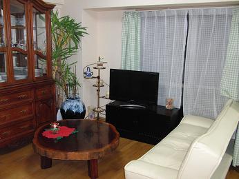 Living. Indoor (10 May 2013) Shooting