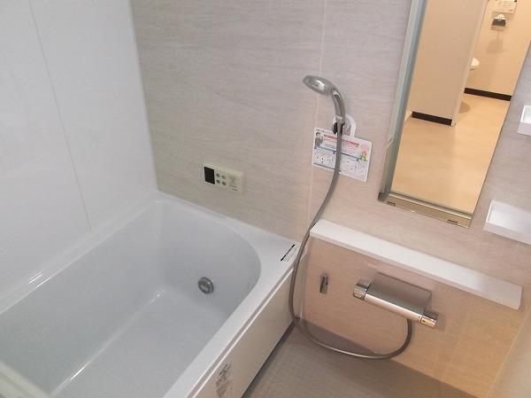 Bathroom. Indoor (12 May 2013) Shooting