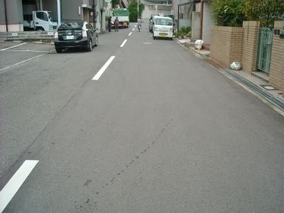 Other. Before road