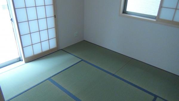 Other introspection. Japanese style room