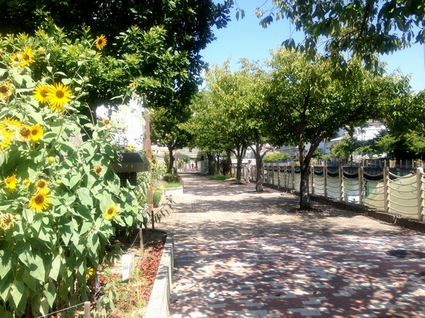Just west of the local, Johoku promenade (about 130m). While being healed by water and greenery, You can also enjoy walking and jogging.