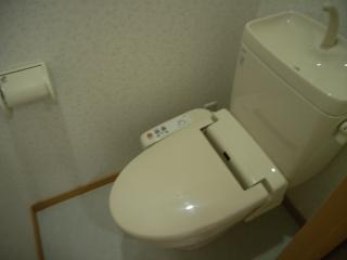 Toilet. WC cleaning toilet seat