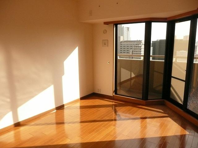 Living. Sunny living room