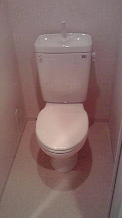 Toilet. Bidet can be mounted! 