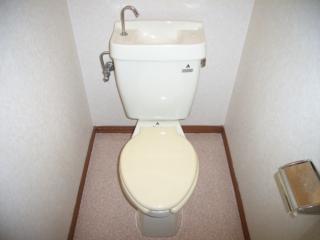 Toilet. Toilet