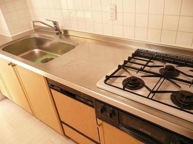 Kitchen. Everyone loves dishwashers, Kitchen with grill