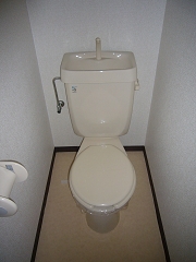 Toilet. Toilet with cleanliness