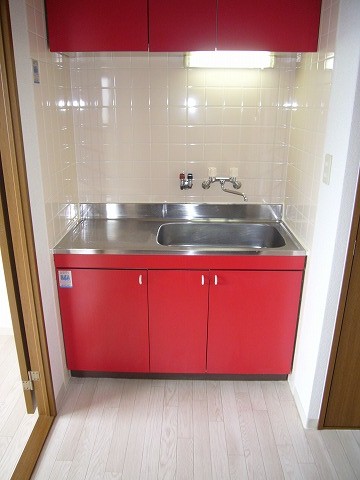 Kitchen. Stylish red kitchen