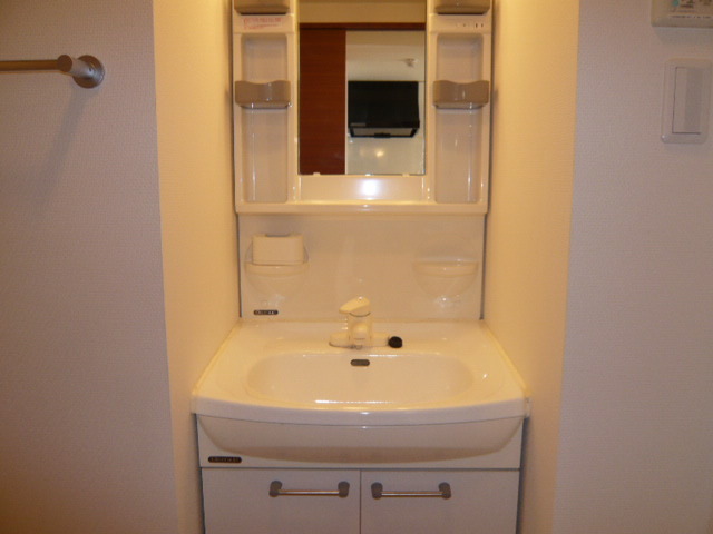 Washroom. With shampoo dresser! 