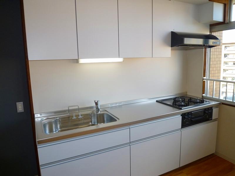 Kitchen. Indoor (12 May 2013) Shooting