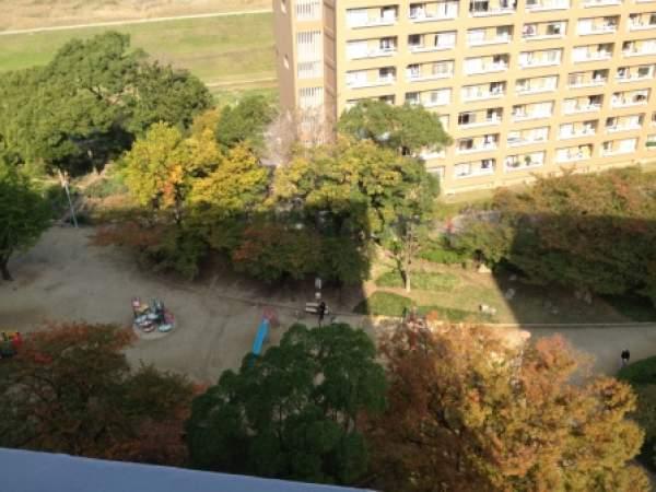 View photos from the dwelling unit