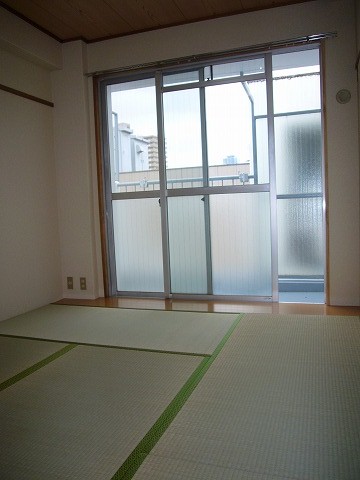 Other room space. It is south-facing Japanese-style room