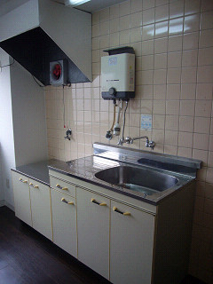 Kitchen. Gas stove is installed type of kitchen