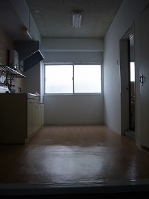 Living and room. It contains the sunlight from the south