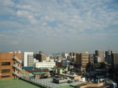 View photos from the dwelling unit. Northeast side view from the site (December 2013) Shooting