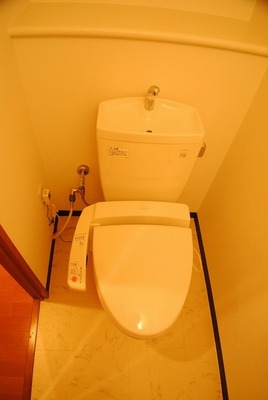 Toilet. Bidet