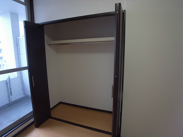 Other. Is closet space in the room can not see the narrow. 