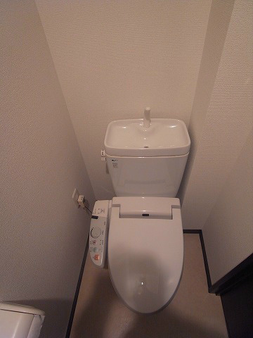 Other. Toilet is with a bidet. 