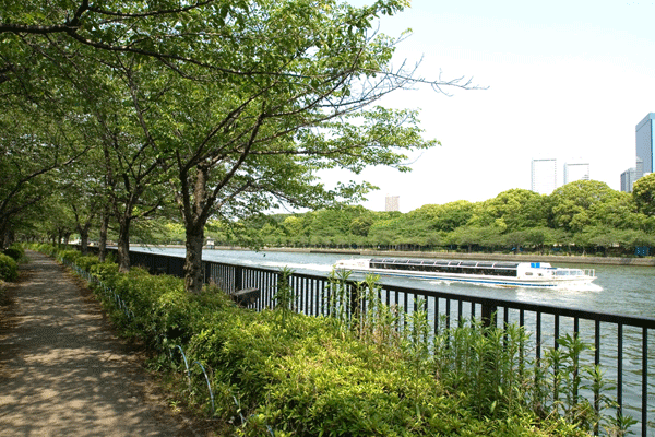 Surrounding environment. Attractions of the subsequent row of cherry blossom trees are cherry blossom viewing along the Okawa. Kema Sakuranomiya park (6-minute walk ・ About 420m) ※