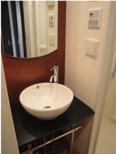 Washroom. Design vanity with!