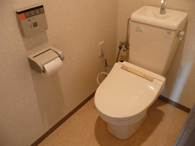 Toilet. A new type of bidet