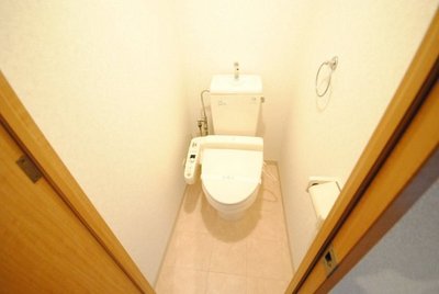 Toilet. Woshure' with toilet
