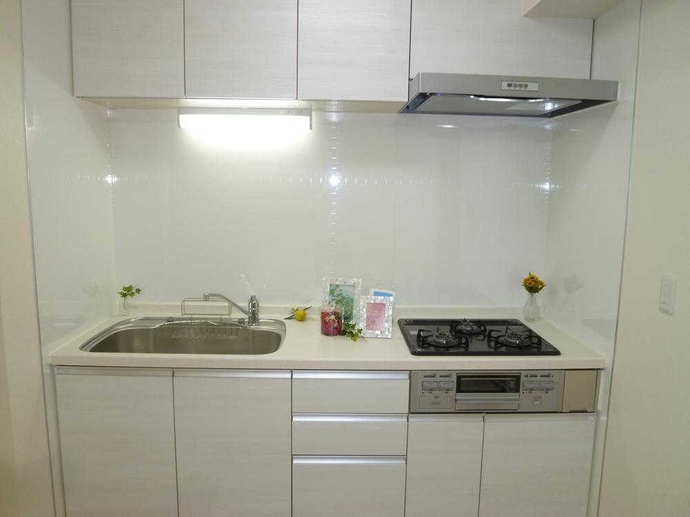 Kitchen. Indoor (September 2013) Shooting