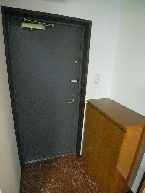 Entrance. It is the front door with a shoe BOX. 