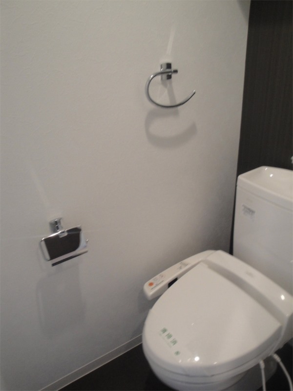 Toilet. Restroom with a bidet!