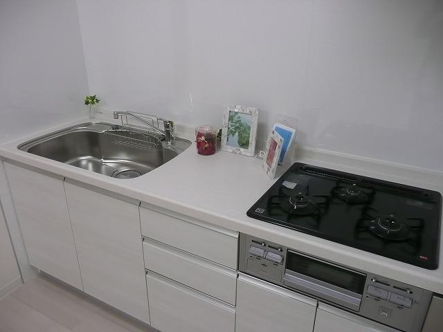 Kitchen. Glad to woman! Clean kitchen easy to use