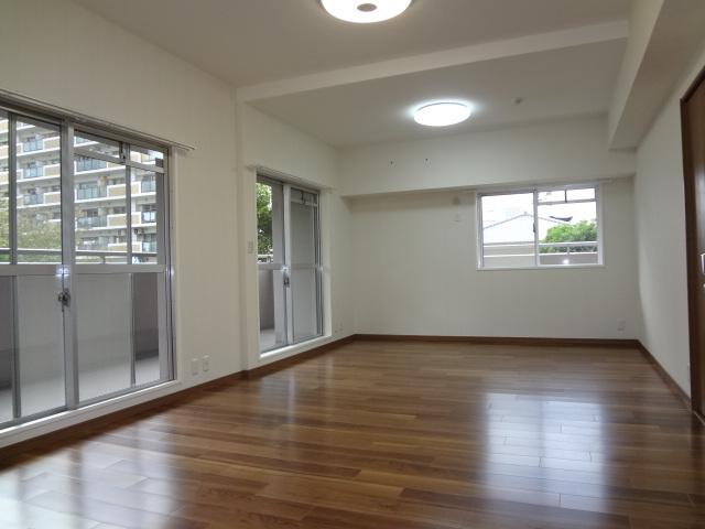 Living. Indoor (January 2014) Shooting