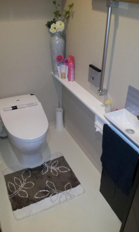 Toilet. Room (August 2013) Shooting