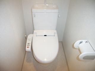 Toilet. Cleaning toilet seat with toilet