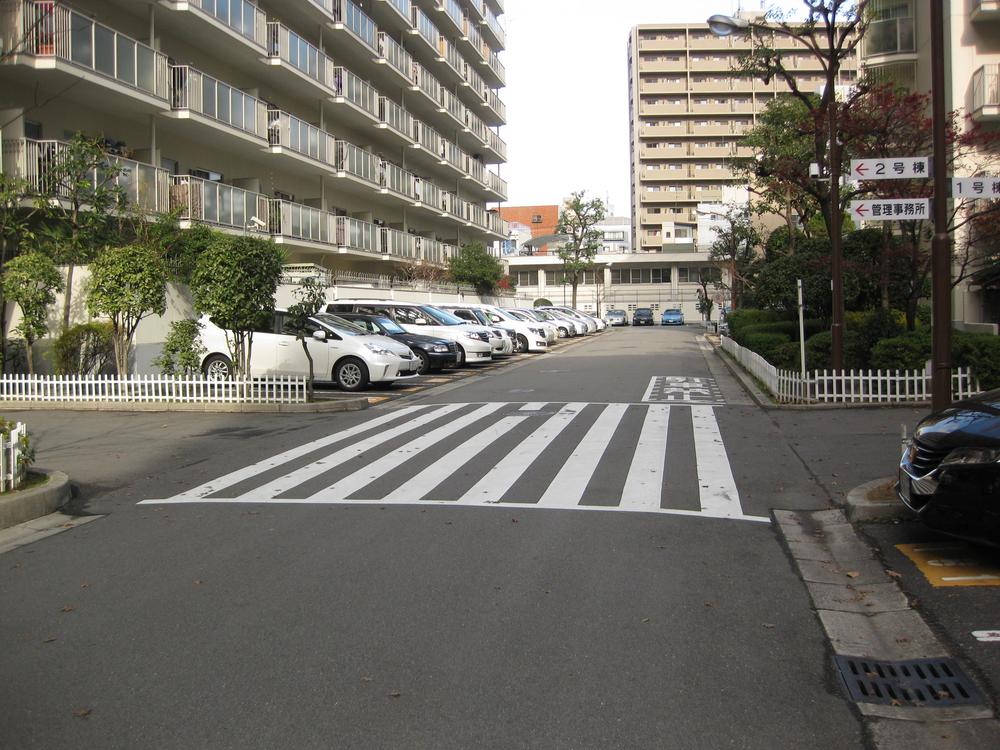 Parking lot. On-site self-propelled parking
