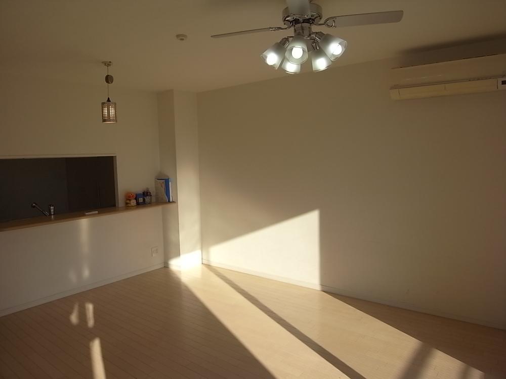 Living. A spacious counter living