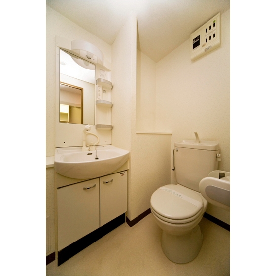 Washroom. Separate vanity toilet