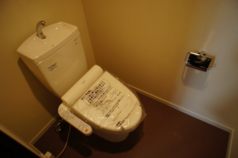 Toilet. Washlet toilet