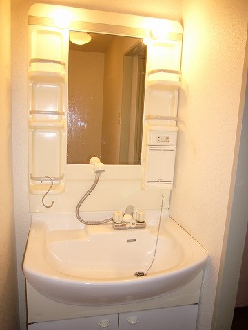 Washroom. Large bowl Shampoo dresser