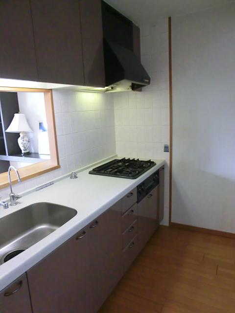 Kitchen. Popular counter kitchen