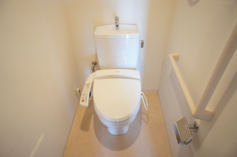 Toilet. Washlet toilet